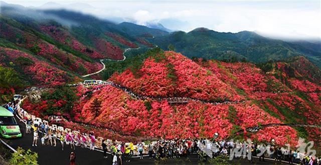 农业农村部推介55条乡村游线路，武汉黄陂烂漫春花之旅入选