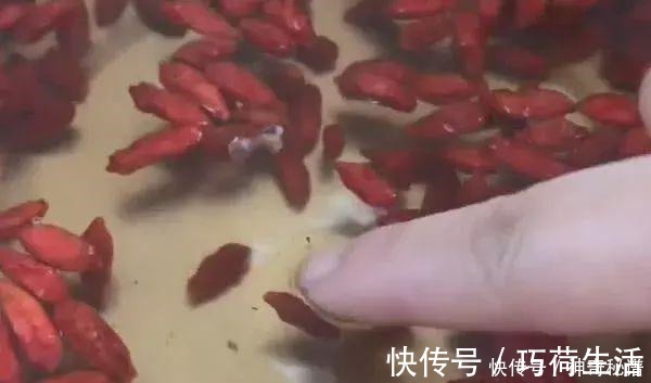 一生|枸杞买回来究竟需不需要洗很多人第一步就做错了，学会受用一生！