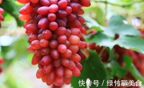 肝脏细胞|每天将此果当零食吃几个，肾变强了，脸色又红润，冬天错过很可惜