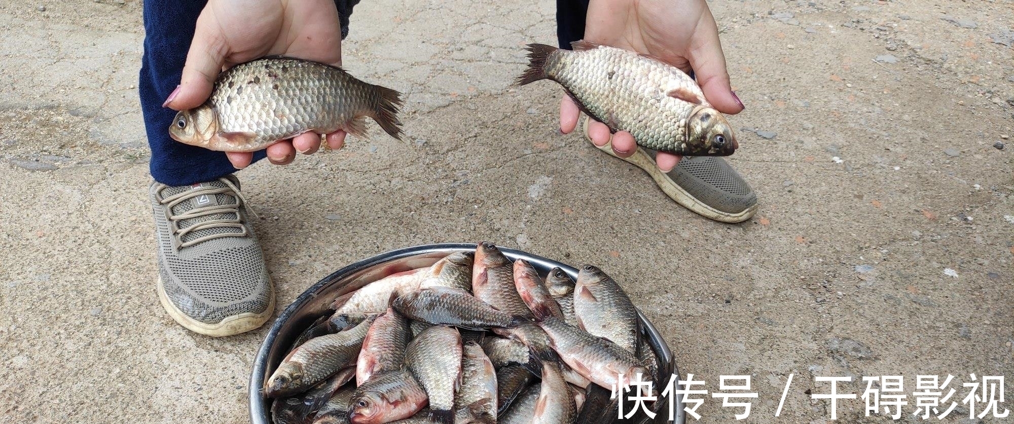 钓友|冬季鲫鱼晒太阳不咬钩,换饵,换漂皆无用,别瞎折腾了用这招吧