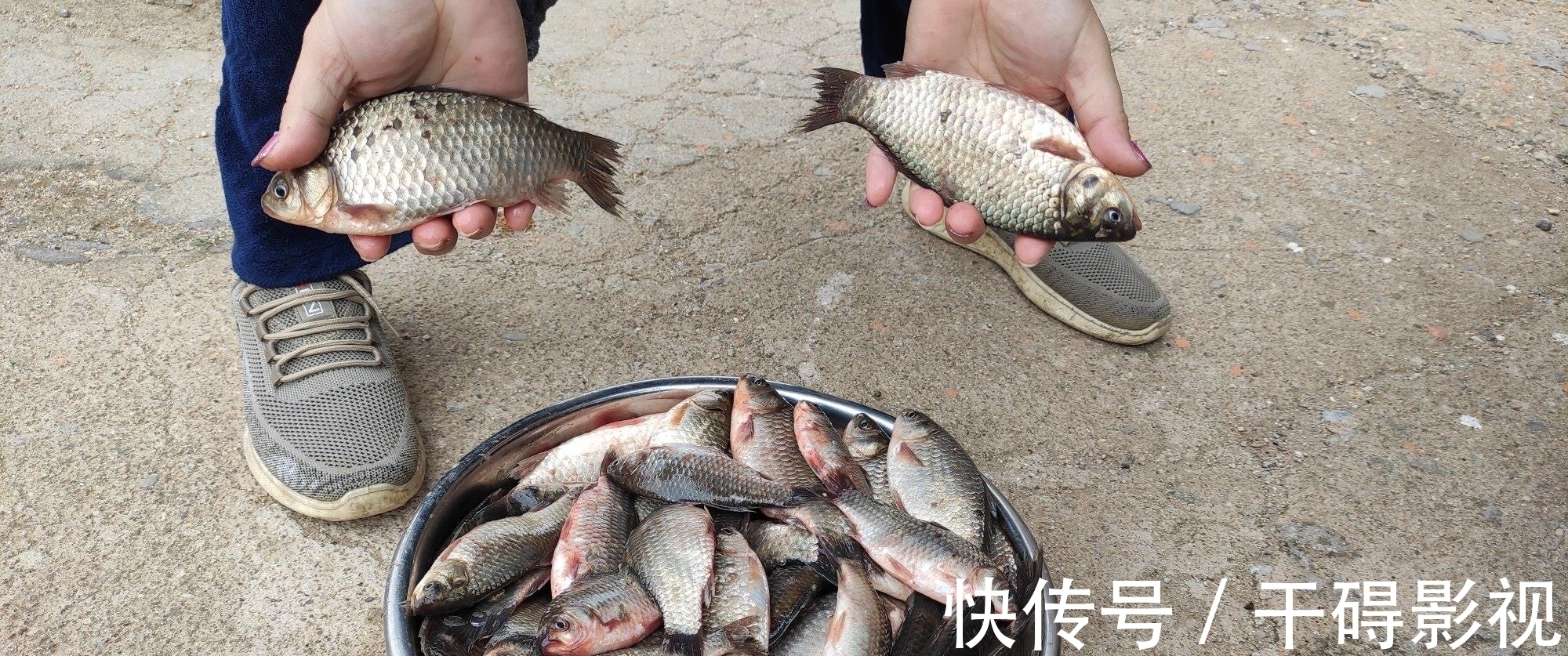 钓友|冬季鲫鱼晒太阳不咬钩，换饵，换漂皆无用，别瞎折腾了用这招吧