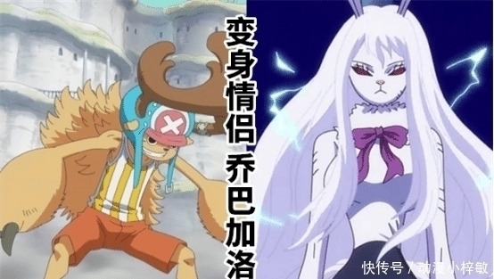 阿菊|海贼王：最具“夫妻相”的5对CP，网友：麦哲伦这对我站定了！
