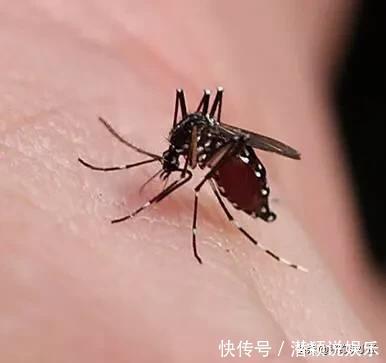 为什么很多钓友拒绝夜钓?怕鬼!其实这几点才是钓友害怕的