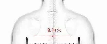 阳气足百病消!拍打人体这6个“升阳点”,以阳补阳、升发阳气!