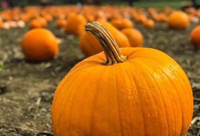 癌细胞|43岁大姐患癌,一年后癌细胞越来越少,原来是因为“它们”