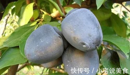 滋补|很有营养的三种食物,滋补身体,提高人体免疫力