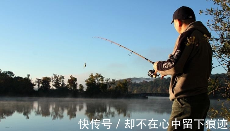 破解|别人连竿,你却没口?20年老钓手:按我说的做,竿竿中鱼不停歇