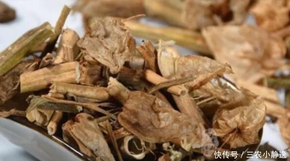 治疗|农村这种野草,是一种珍贵中草药,治疗痔疮效果很明显