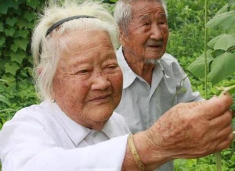 身体|过了50岁身体有这五种特征，寿命一般都会比较长！