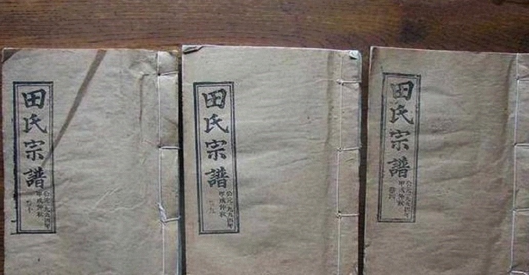 田会一$2004年,田氏家族后代带族谱到中国认祖归宗,宣称自己是中国人