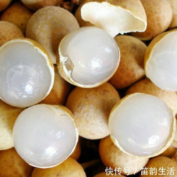 桂圆与龙眼的关系弄明白了吗每天吃几颗合适答案终于清楚了