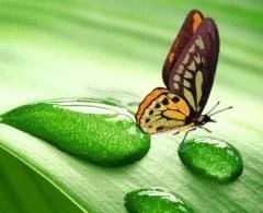 人心$良言20句,见证人心,看透人性看一次胜读十年书