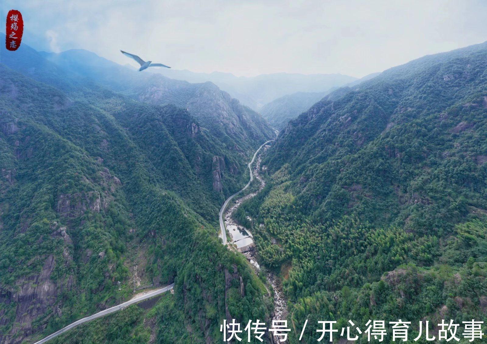 峡谷|丽水有座峡谷，拥有360度无死角观景平台，被誉为“丽水小挪威”