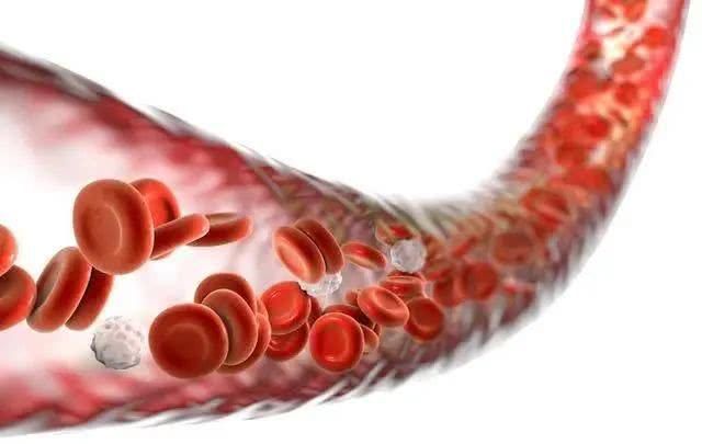 清理血管|人到中年，血液浓稠，用一种叶子泡水喝，清理血管，血栓不来扰