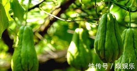 最长寿|会吃的人最长寿,常食4种食物,排毒燃脂,改善肤质,营养又瘦身