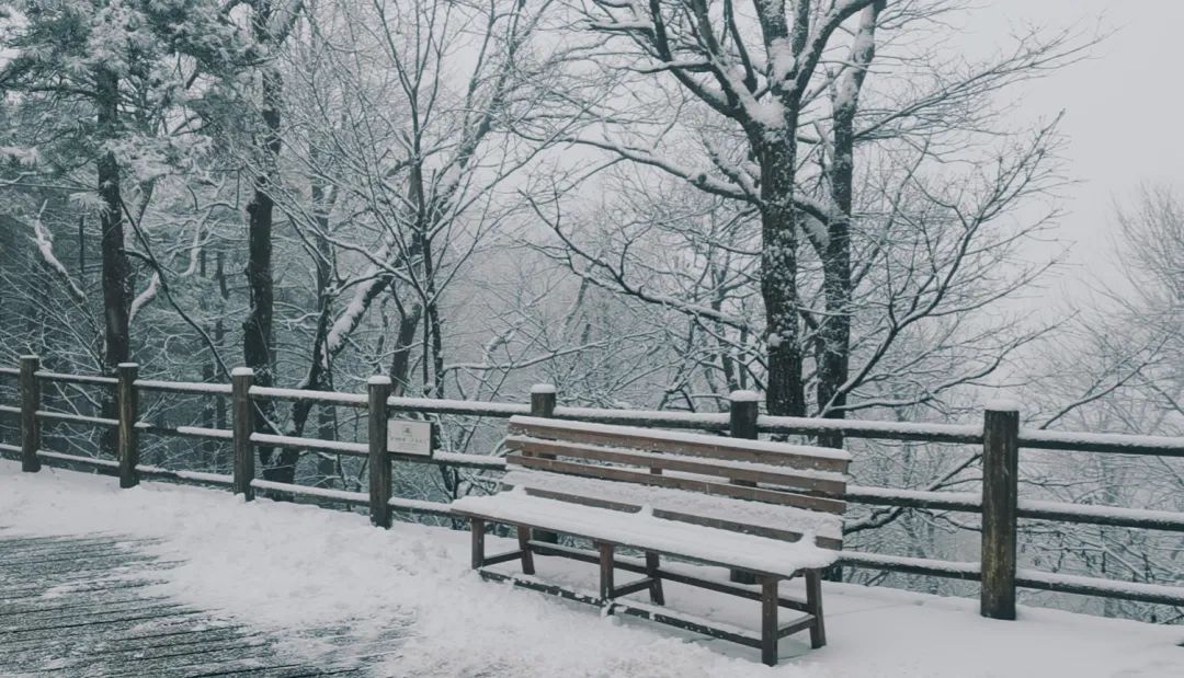 气温|杭州，雪！宁波，雪！绍兴，雪！可能要下到……太刺激了！