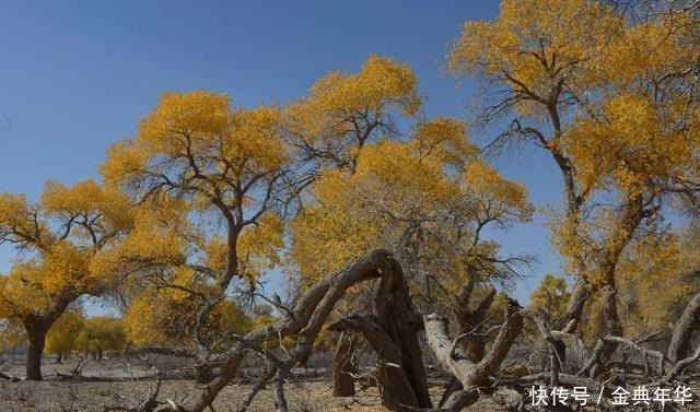 奋斗|马识途人到五十,有一件事比奋斗重要,谁能做到就是成功