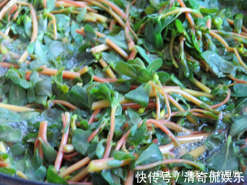 凉拌|夏天此野菜最受欢迎,不花钱菜地里掐一把,拌拌就能吃,清热解暑