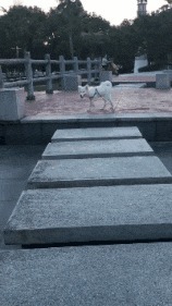 |搞笑GIF:姑娘 你这一字马厉害了 把旁边的小哥都吓跑了