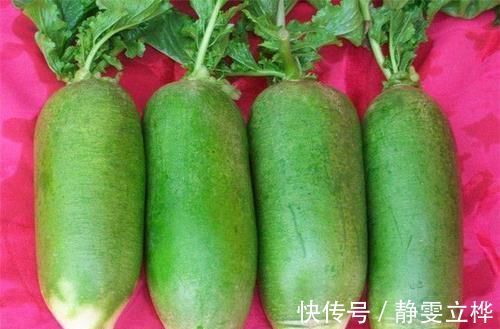 维生素b1|长寿老人爱吃3种食物,补血益气,延缓衰老,好吃也不贵!