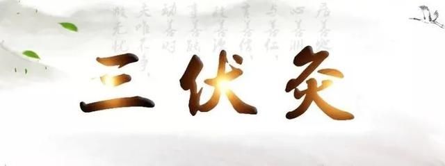 冯医生|三伏天做三伏灸,能治哪些病?适合哪些人?【浦东医生话养生】