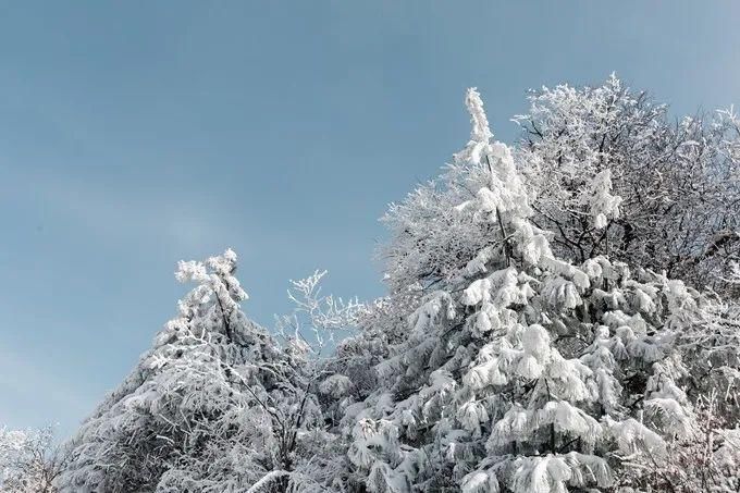 卧龙|成都冬季去哪儿玩？来冰雪秘境甘海子徒步看云海！