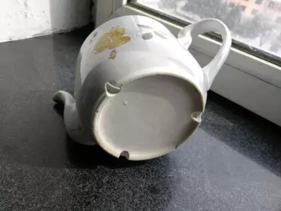 旧茶壶种点花,秒变高端盆景,卖300一个邻居抢着要