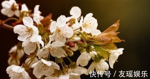 幸福指数|熬到明年，将苦尽甘来，来年更有钱，幸福指数高的生肖