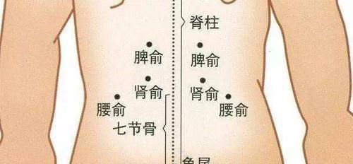 节气|固肾收阳气一天对应24节气,早上5点最佳起床时间,起床做2事