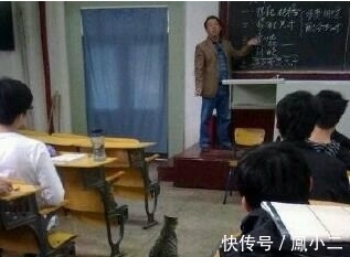 |搞笑GIF:听说,这哥们后来被这只拖鞋打的老惨了