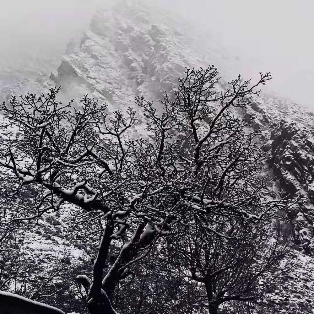 冬雪|一场冬雪，飞白作画，染了山水，美了岩画