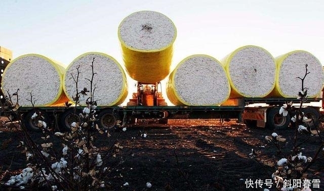 澳洲|中方叫停澳洲又一商品进口,澳官员要求必须解释,凭什么不买!