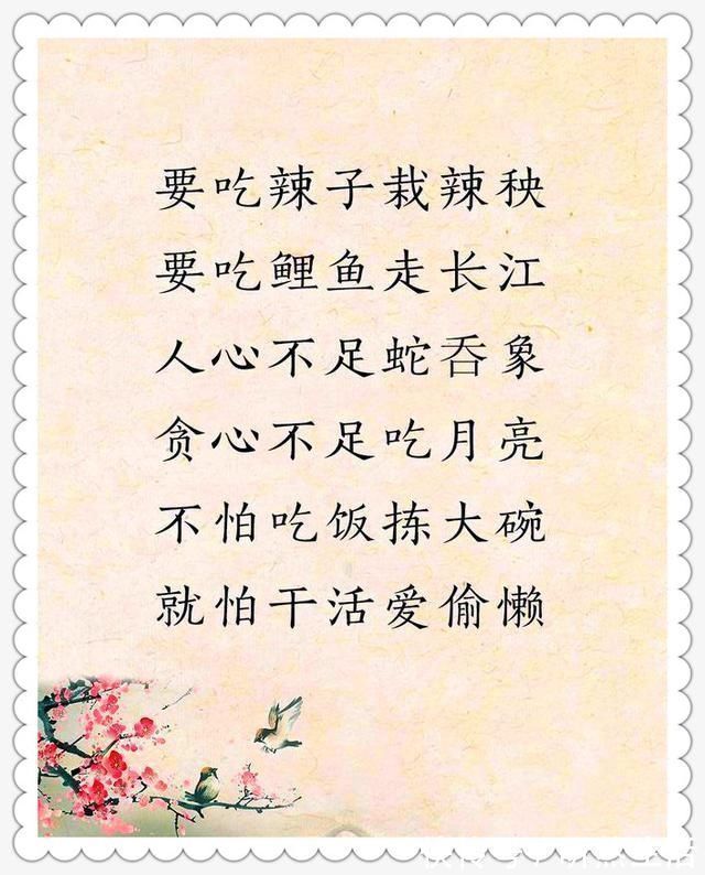 大智慧|老祖宗留下的金句,太经典了,句句都是大智慧