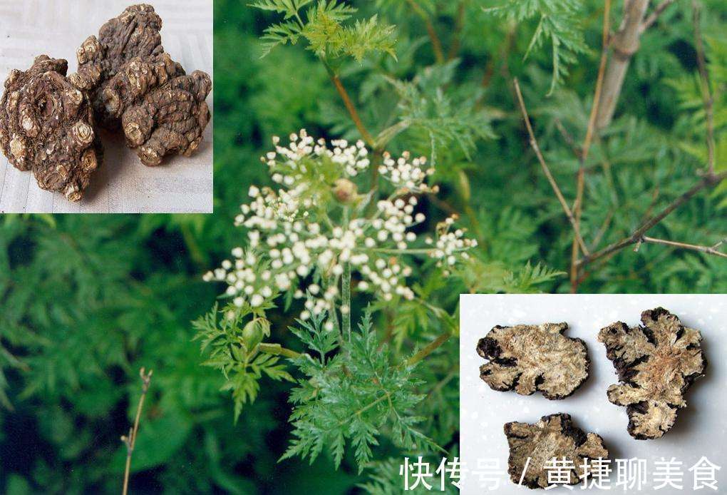 全方|清代名医王清任,6张活血化瘀方,打遍天下无敌手,用过的都说好