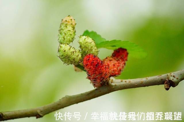 维生素c|如何让孩子以后身高达到180cm?抓住这6大要点,长高指日可待!