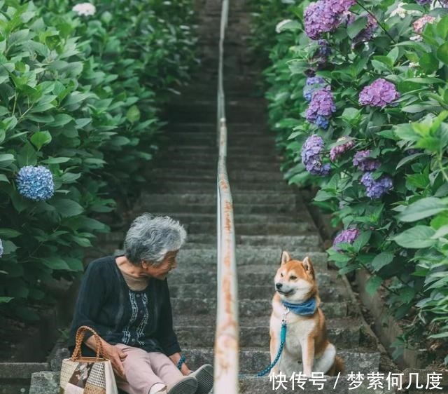 日本老人的“晚年生活”,都有哪些精彩值得学习