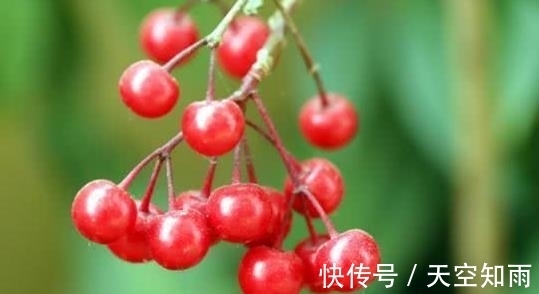 甜蜜蜜|婚后生活甜甜蜜蜜三个生肖女，夫妻恩爱白头，生活越过越幸福