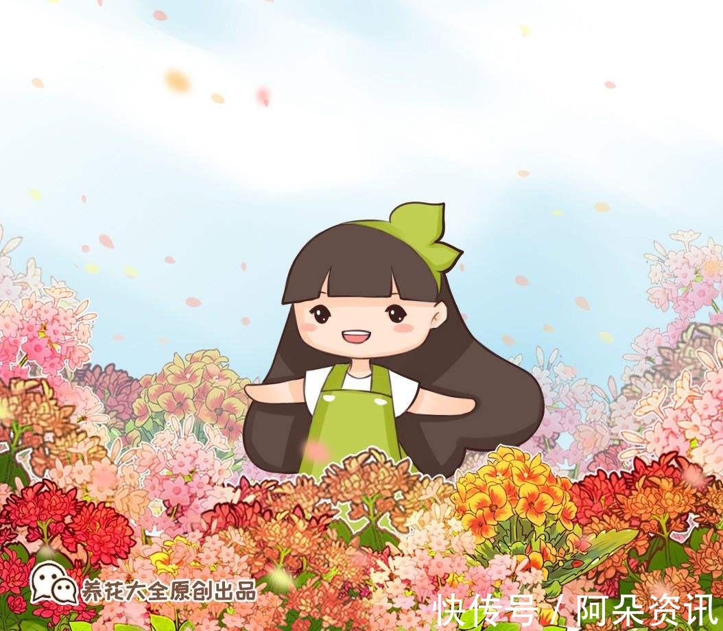 花花|小花盆才能养好的花，种在大盆里太危险，一不小心就烂根