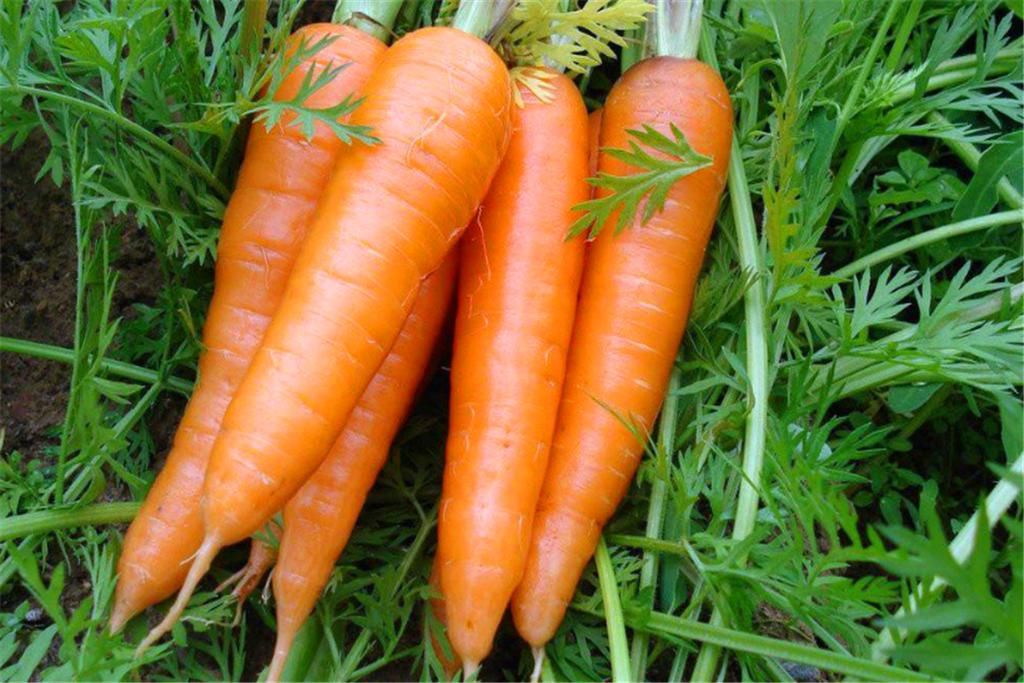  花椒|想吃羊肉馅饺子，别只放羊肉，搭配这三种蔬菜，一口一个，真过瘾