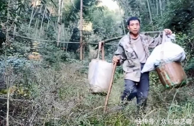  本来|奇闻：本来是来挖冬笋的，却发现了“万寿果”，大叔捡了两袋子