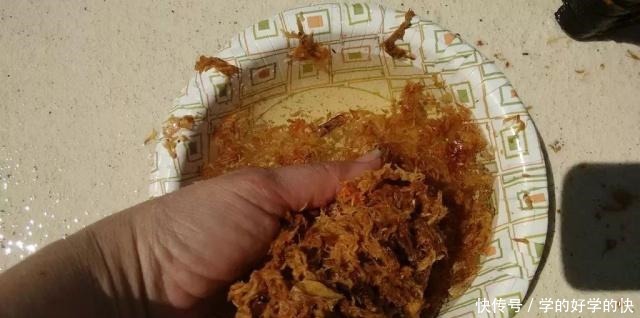 养得就剩下一些烂根的兰花，用这招能够让它重新长叶生根！