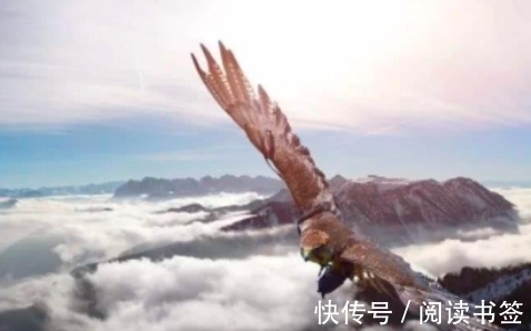 九月九日忆山东兄弟&王维10大名诗排行,《九月九日忆山东兄弟》仅第六,前五是何诗?