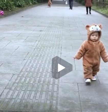 知识|双胞胎吵架生气,谁也不理谁背道而驰:关于双胞胎还有1个冷知识