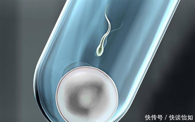 成功率|试管婴儿容易做吗?成功的概率高吗? ?有此打算的美女看过来