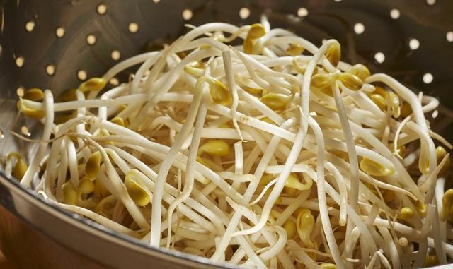 夏天|炎热的夏天,绿豆3天就能发芽,一碗绿豆发一盆,再也不用买了