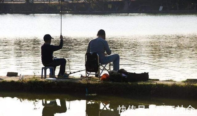 想钓好鱼饵料很关键,别再听商家忽悠了,这4点才是最核心的