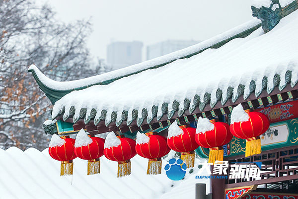 我慢慢地品 雪落下的声音|图集| 雪地