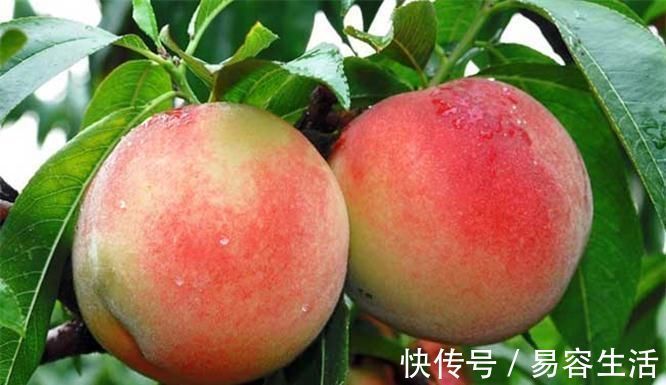 美容养颜|每天可以多吃3种食物,美容养颜、皮肤白嫩,早吃早受益!