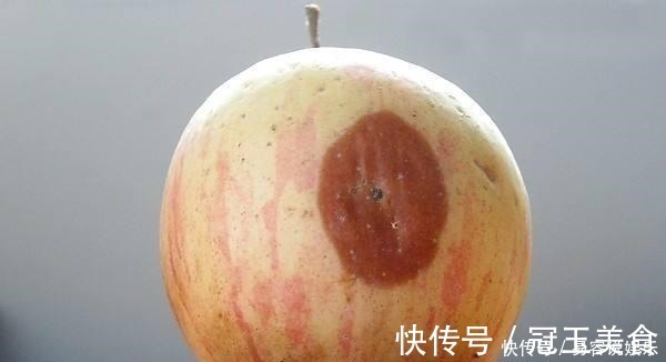 柚子|已经腐烂的水果，剩下还可以吃吗终于有答案了，现在就来告诉你