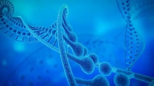 长高|哪些因素会影响孩子长高,如何促进孩子长高?医生讲一讲